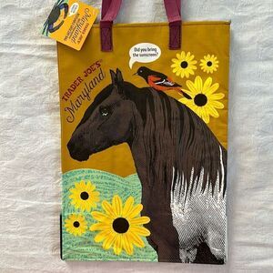 Trader Joe’s Plastic Reusable Shopping Tote Bag 6 Gallon Maryland Collectible